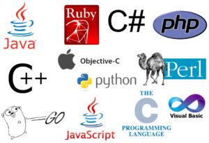 Software Development- languages